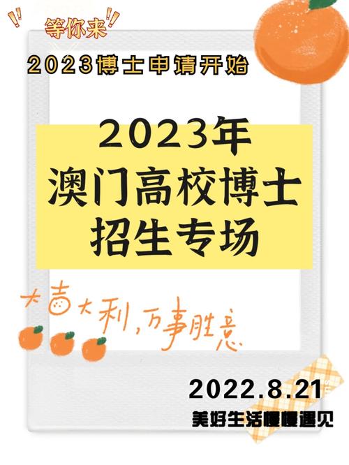 2023澳门开马精准资料,设计策略快速解答_整版DKJ656.74
