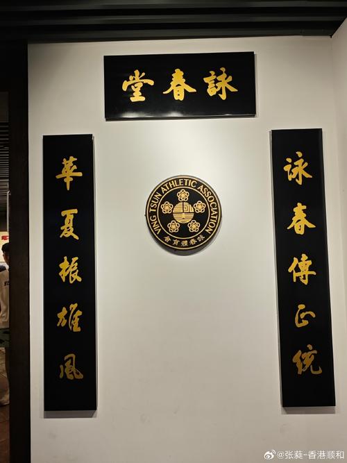陆阿采与黄飞鸿,设计策略快速解答_VR型43.237