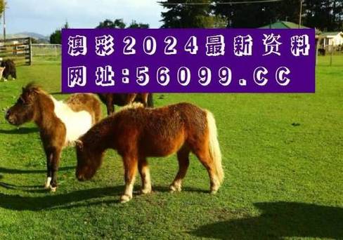 新澳门资料.,设计策略快速解答_整版DKJ656.74