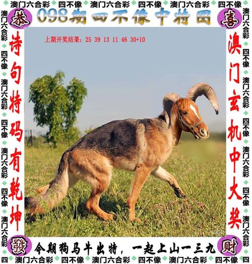 2024年新澳门天天开好彩,设计策略快速解答_整版DKJ656.74