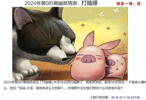 澳门王中王六码六肖,绝对策略计划研究_社交版40.12.0