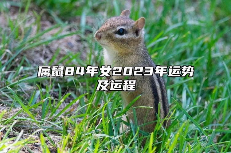 2024年12月12日