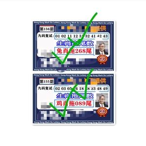 澳门最精准真正最精准资料,设计策略快速解答_整版DKJ656.74