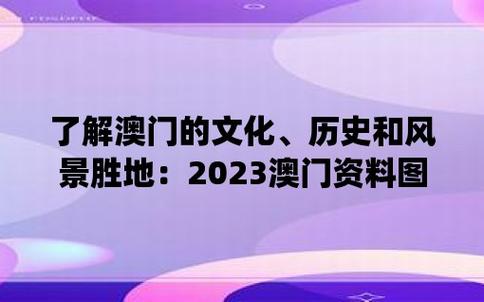 澳门管家婆正版免费资料大全,设计策略快速解答_整版DKJ656.74