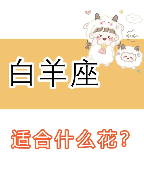 白羊座今日运势女生最准,设计策略快速解答_VR型43.237