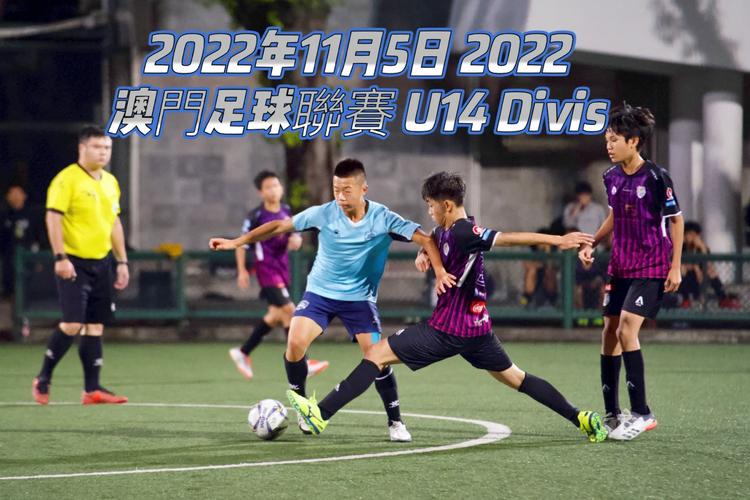2022年的澳门免费资料大全,设计策略快速解答_整版DKJ656.74