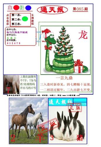 118澳门开奖站,真实经典策略设计_VR型43.237