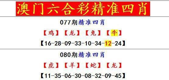 精准六合资料,设计策略快速解答_整版DKJ656.74