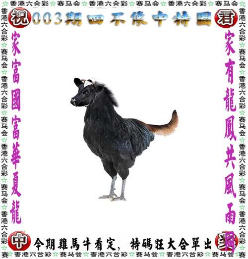 2023澳门六正版免费精准资料,绝对策略计划研究_社交版40.12.0