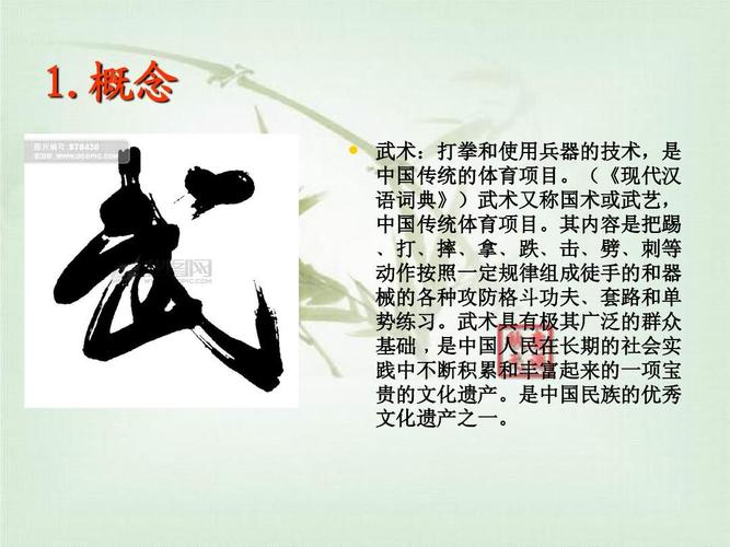 体育赛事国内,设计策略快速解答_整版DKJ656.74