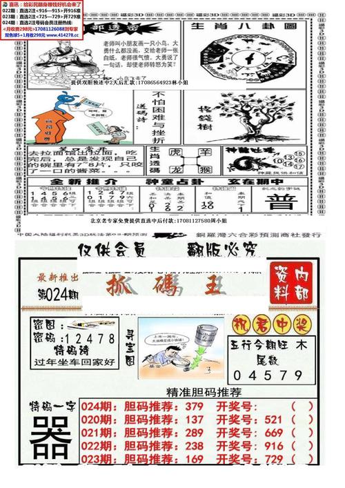 2025年1月 第17页