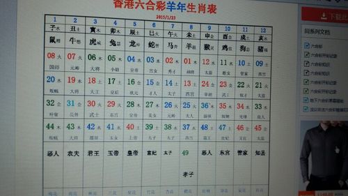 49资料网必中生肖,真实经典策略设计_VR型43.237