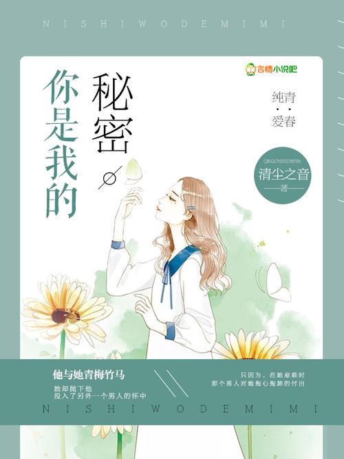 不能说的秘密高清完整版,绝对策略计划研究_社交版40.12.0