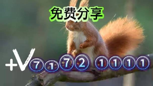 澳门六开彩开奖结果资料查询最新,设计策略快速解答_VR型43.237