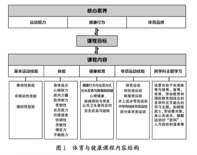 体育课标解读,设计策略快速解答_VR型43.237