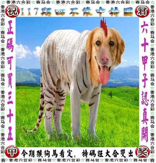 澳门六开彩开奖结果查询2021年,真实经典策略设计_VR型43.237