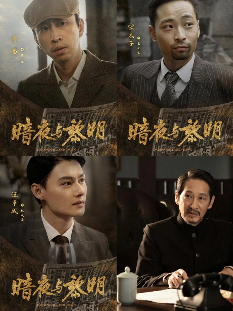 谍战剧暗夜与黎明免费观看,绝对策略计划研究_社交版40.12.0
