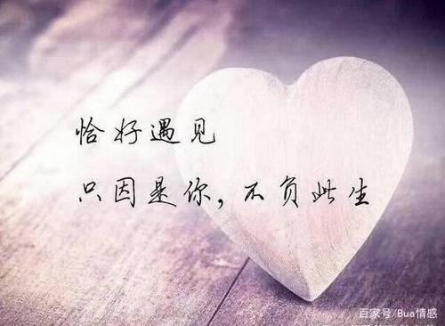 一生的爱都给你,绝对策略计划研究_社交版40.12.0
