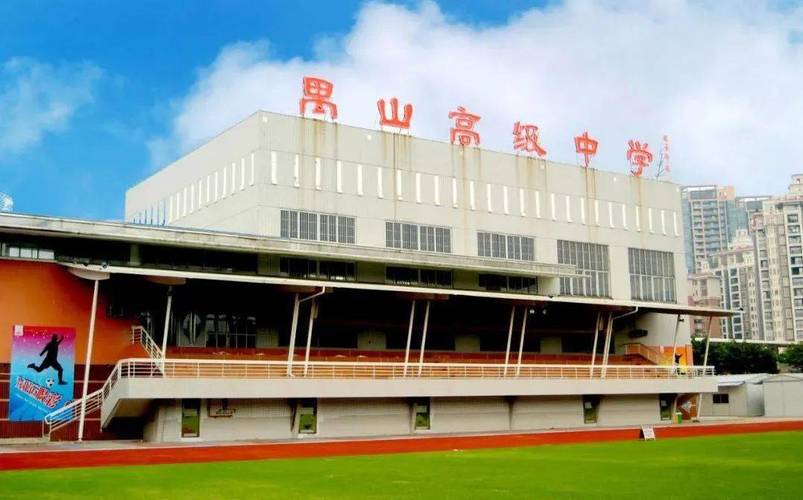 体育赛事服务,设计策略快速解答_整版DKJ656.74