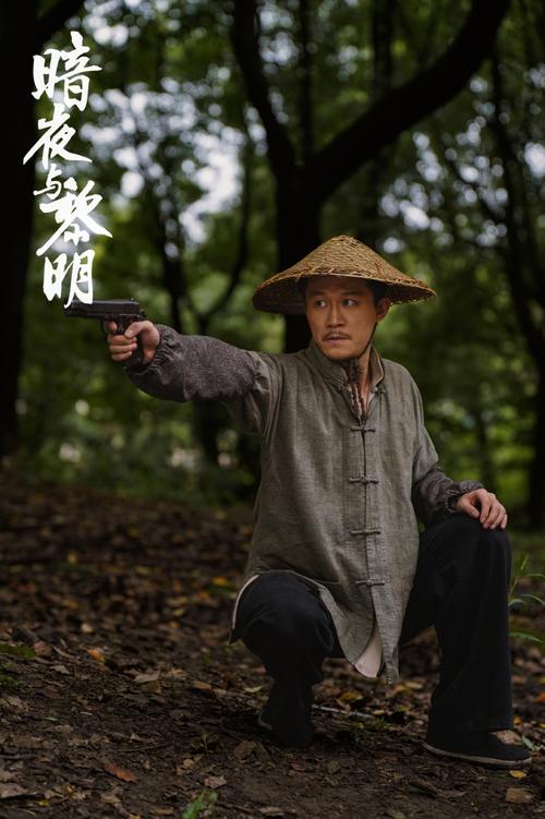 暗夜行动电视剧全集免费观看,设计策略快速解答_整版DKJ656.74