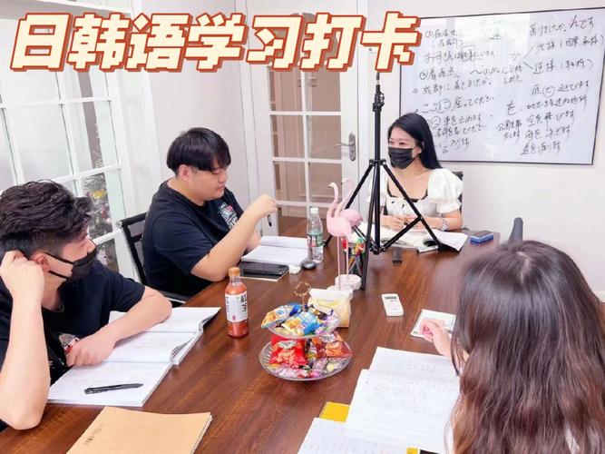 韩语日语剧情篇在线,设计策略快速解答_整版DKJ656.74