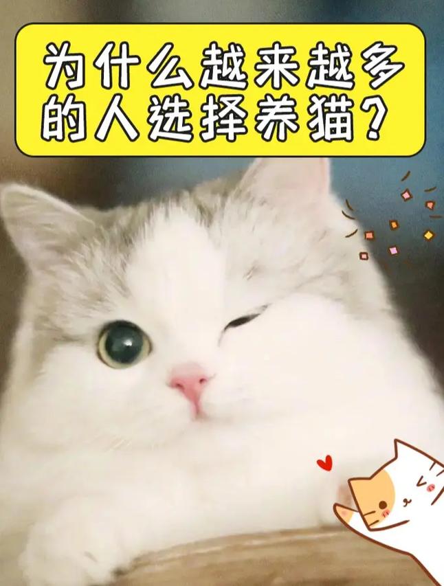 为什么猫都叫不来,绝对策略计划研究_社交版40.12.0