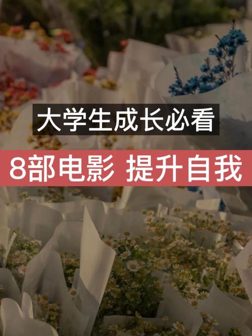 大学生必看电影排行榜,设计策略快速解答_VR型43.237