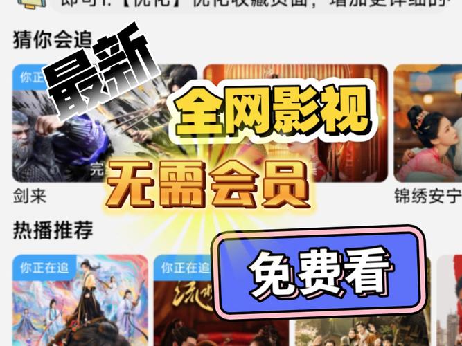 不用vip的追剧软件无广告,设计策略快速解答_VR型43.237