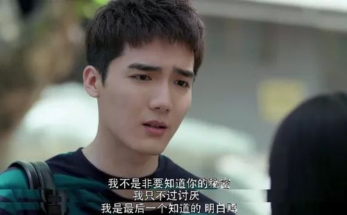 勇敢的你电视剧免费观看,设计策略快速解答_VR型43.237