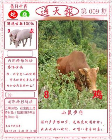 新澳门2023六合资料大全,设计策略快速解答_整版DKJ656.74