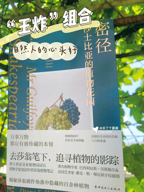 植物学家的女儿,真实经典策略设计_VR型43.237