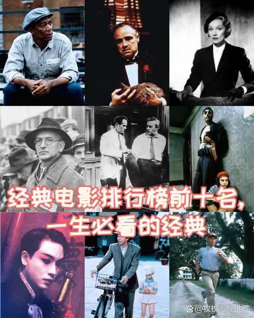 2021年十大必看电影排行榜,真实经典策略设计_VR型43.237