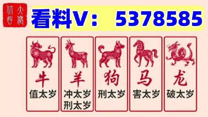 今晚澳门特马开多少,设计策略快速解答_整版DKJ656.74