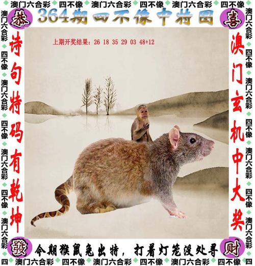 今天晚上澳门特马第四期,设计策略快速解答_整版DKJ656.74