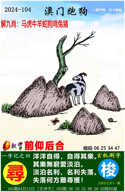管家婆最准资料一肖,设计策略快速解答_整版DKJ656.74