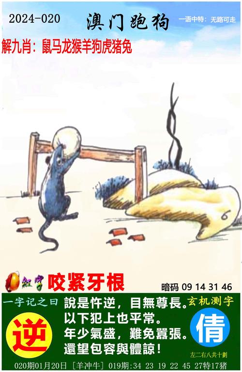 蓝月亮四肖八码精选资料一首页,设计策略快速解答_VR型43.237