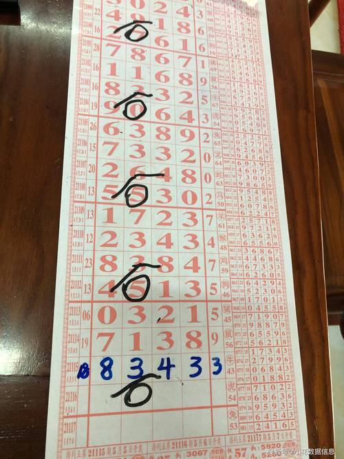 精准四肖8码,绝对策略计划研究_社交版40.12.0