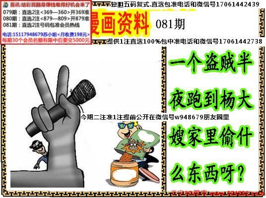 香港资料图库一免费,设计策略快速解答_整版DKJ656.74