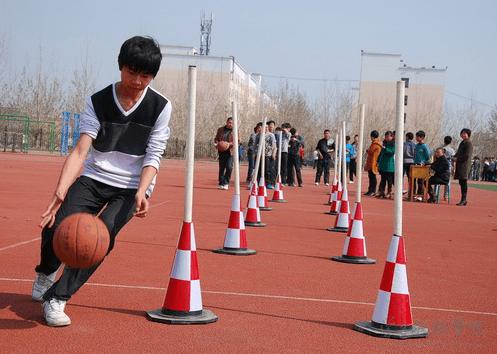 中国体育竞技体育,设计策略快速解答_整版DKJ656.74