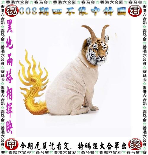 管家婆资料大全管家八十期,设计策略快速解答_整版DKJ656.74