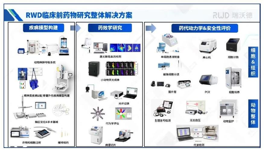 青少年田径锦标赛报名官网有直播吗?,绝对策略计划研究_社交版40.12.0
