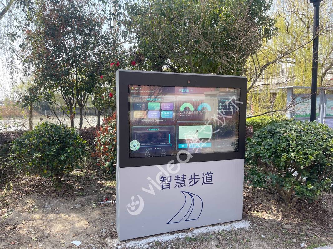 青少年体育治理,真实经典策略设计_VR型43.237