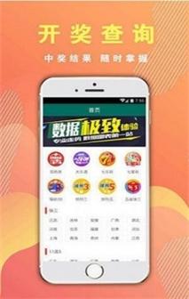 四九图库开奖直播澳门,设计策略快速解答_整版DKJ656.74