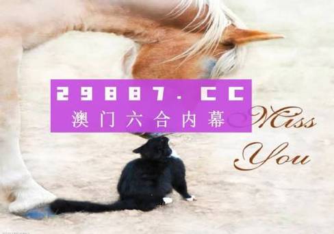 澳彩资料正版49853开奖记录144期,绝对策略计划研究_社交版40.12.0