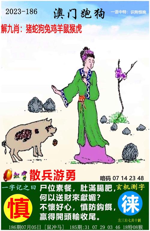 澳门特马资料期期准你来了我就不好了,绝对策略计划研究_社交版40.12.0