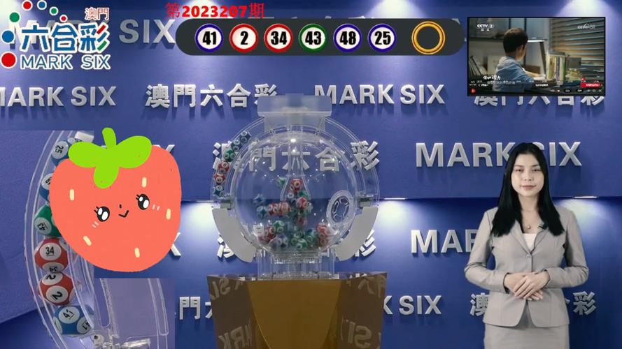 新澳门内部资料精准大全大三吧,设计策略快速解答_VR型43.237