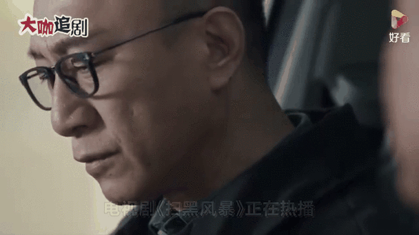 扫黑风暴电视剧在线观看星辰影院,绝对策略计划研究_社交版40.12.0