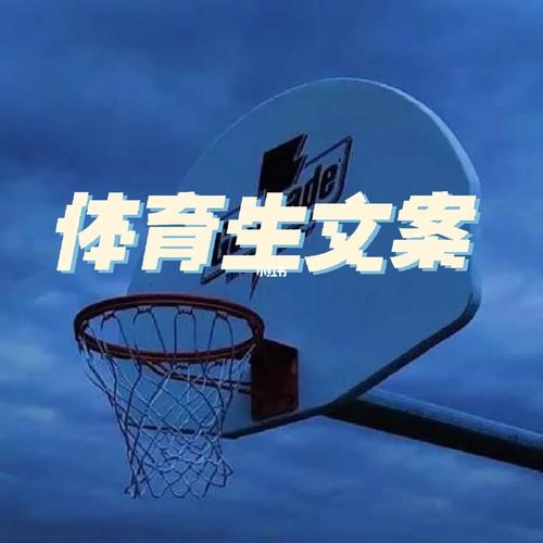 体育生有多累,设计策略快速解答_整版DKJ656.74