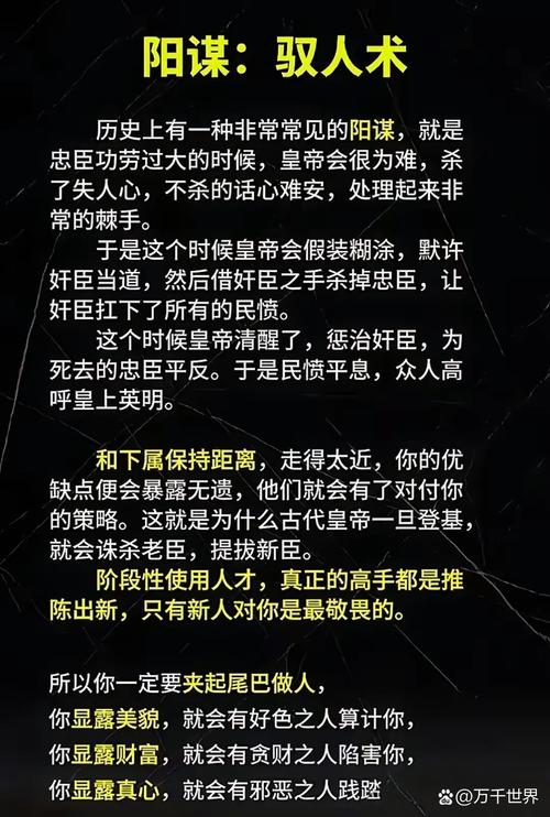 一个人在线视频免费,绝对策略计划研究_社交版40.12.0