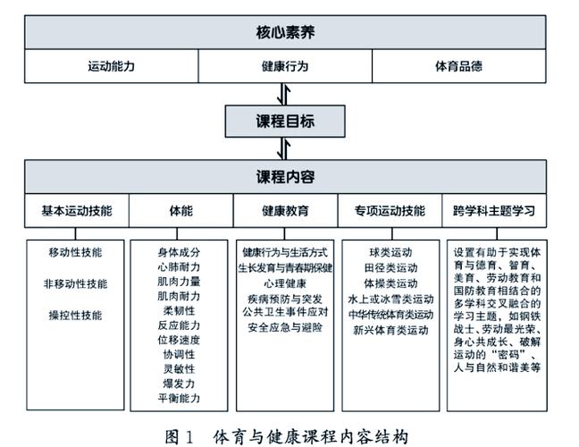 初中体育学科核心素养,真实经典策略设计_VR型43.237
